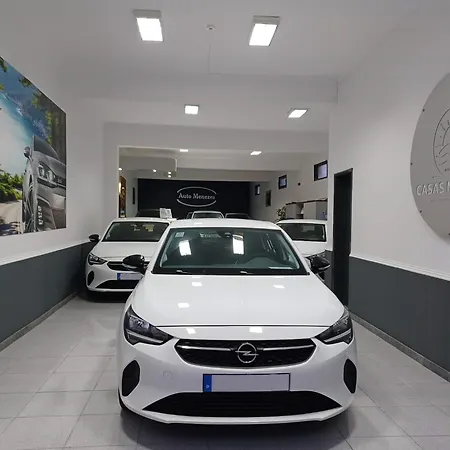 Проживание в семье Basaltic's *